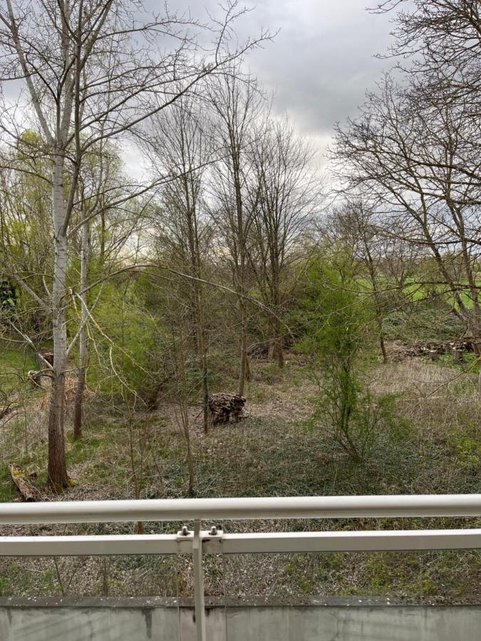 Kosly Garden Robertsau Appartement Straatsburg Buitenkant foto